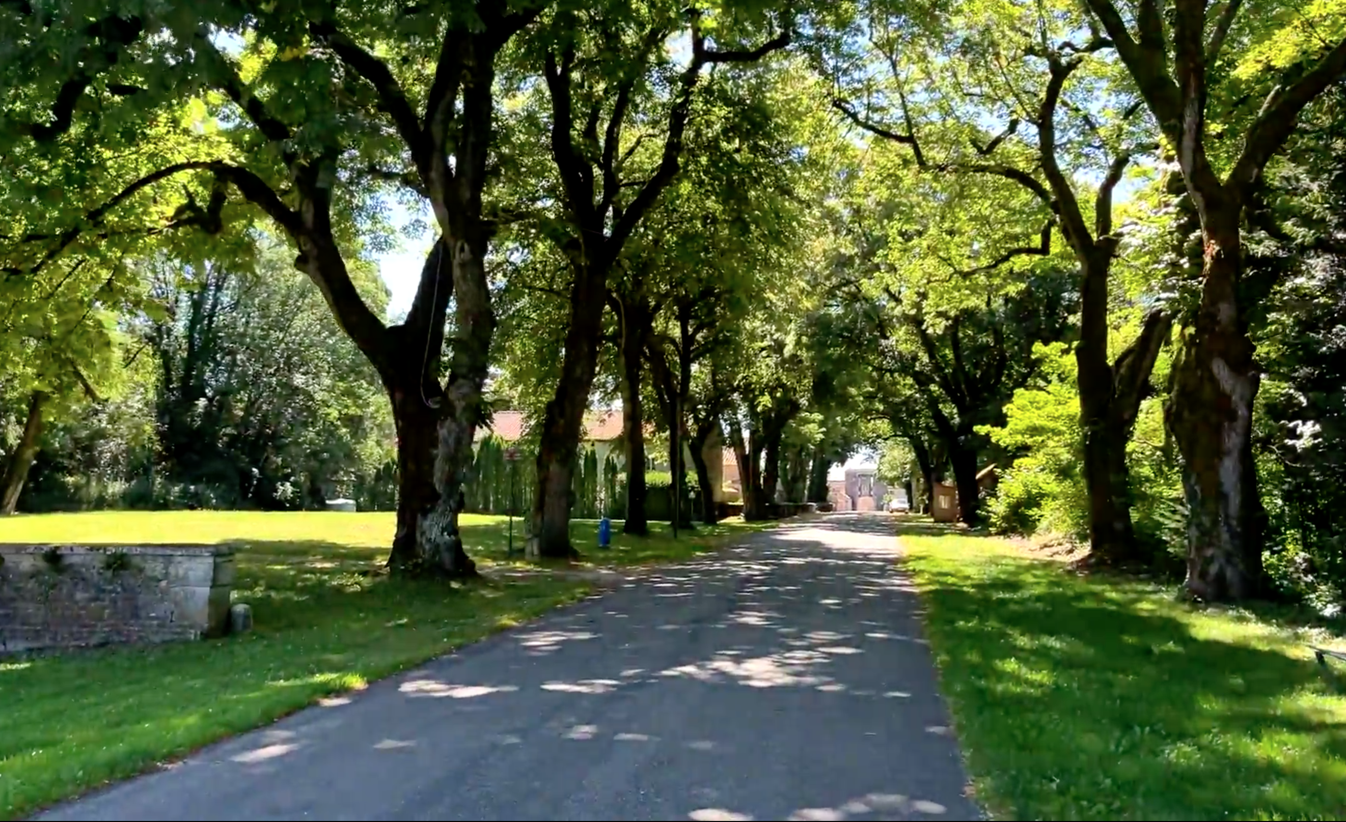 Allée des Tilleuls