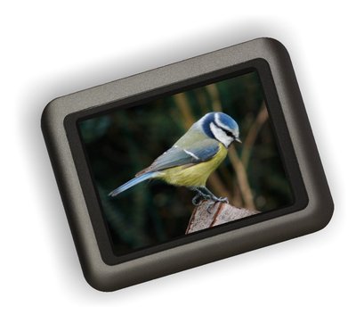 circuit chant oiseaux