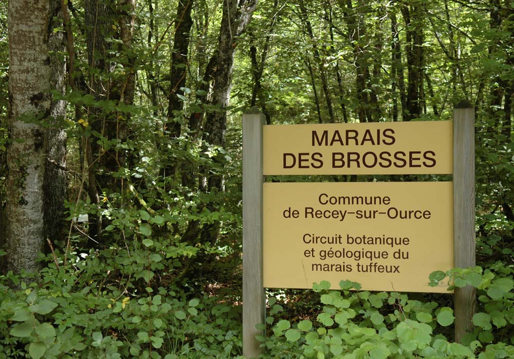 Marais des Brosses