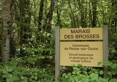 Marais des Brosses