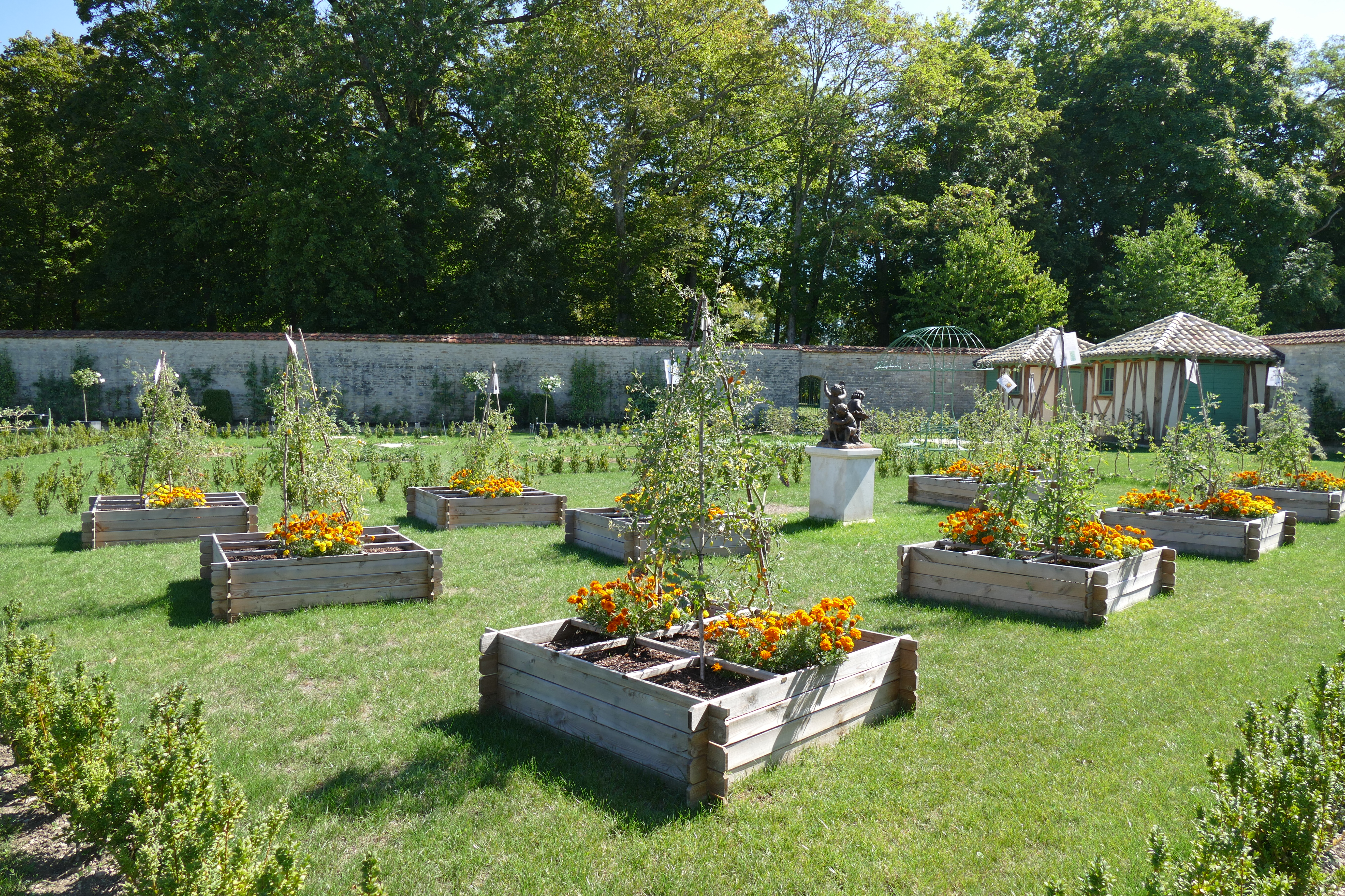 Le potager des enfants