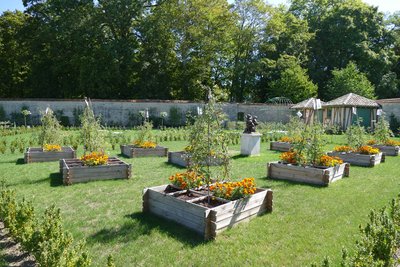 Le potager des enfants