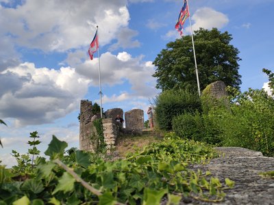 Vestiges château Ducs Bourgogne Châtillon-sur-Seine