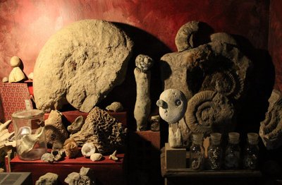 ©fabien.ansault cabinet-curiosités-12