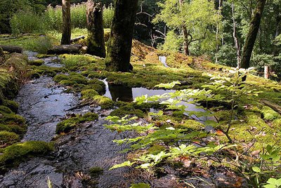 Tufière de Rolampont