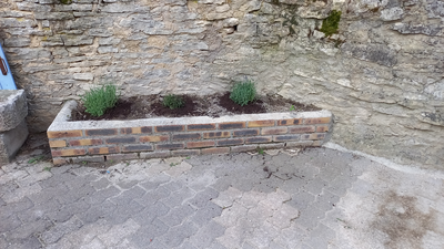 Gîte au temps retrouvé - Lavande