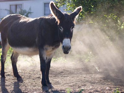 © Sentiers de la Belette