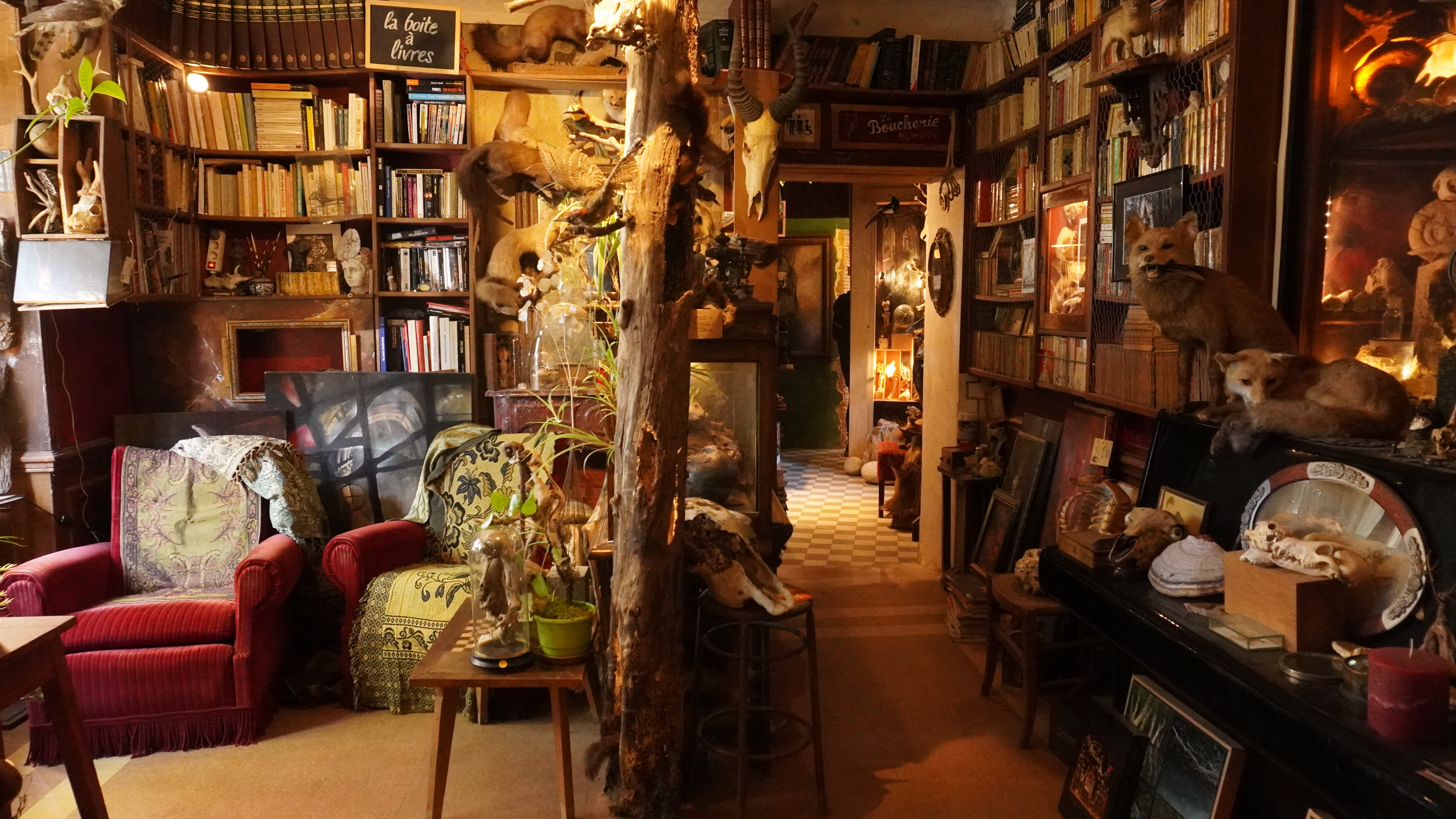 © Les Z'uns possible