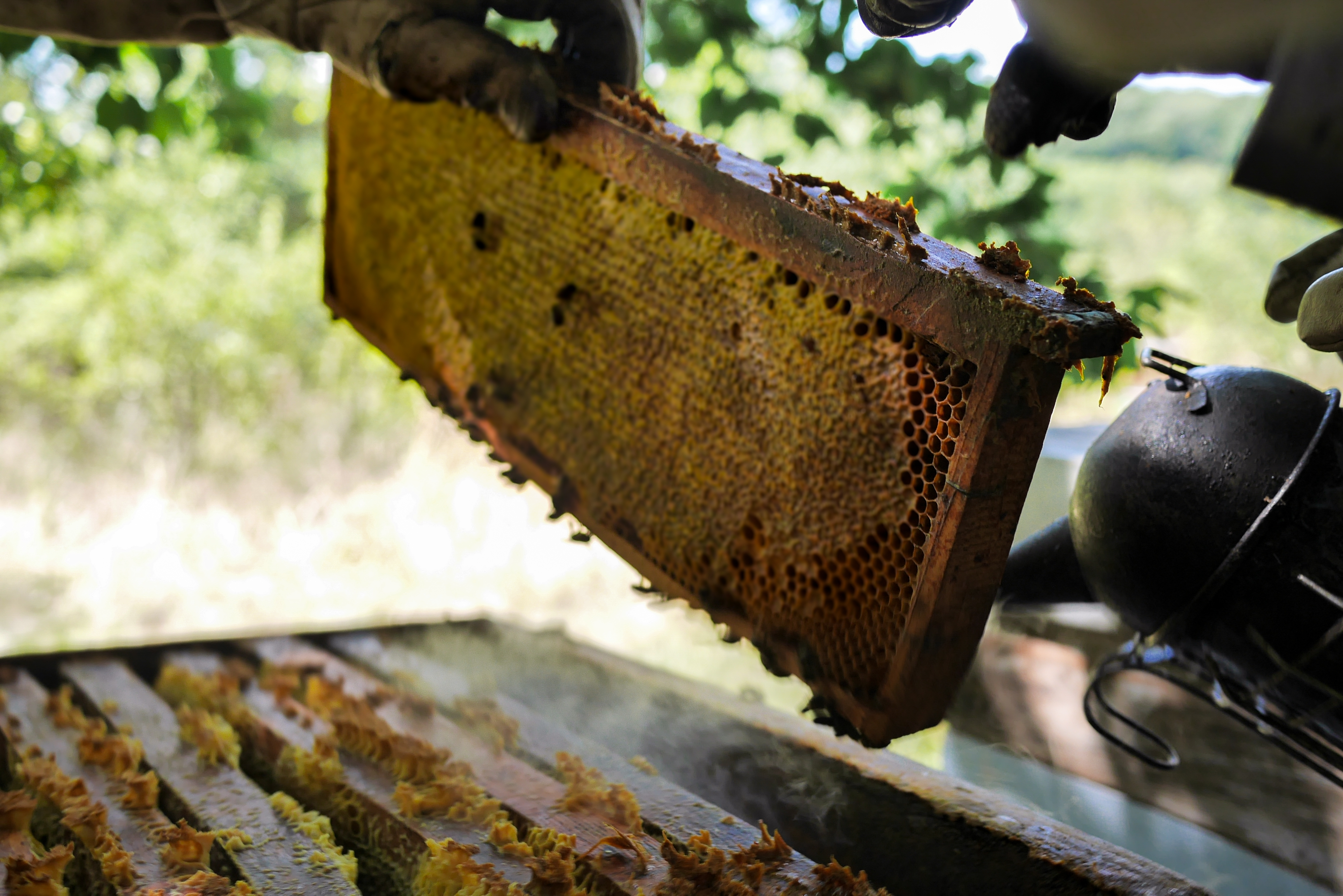 Leuglay - Rucher de Valverset 5 © Théophane BERNARD-BRUNEL