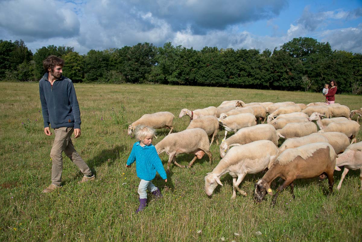 © Céline Lecomte - OFB