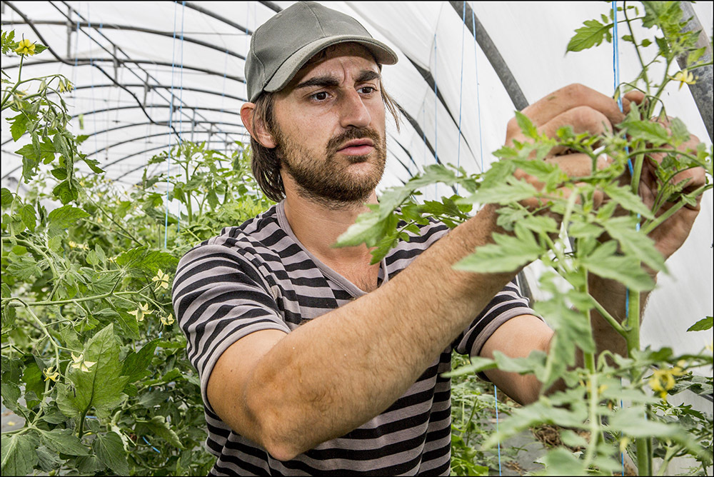 © Baptiste Galissot - Aujon Nos légumes