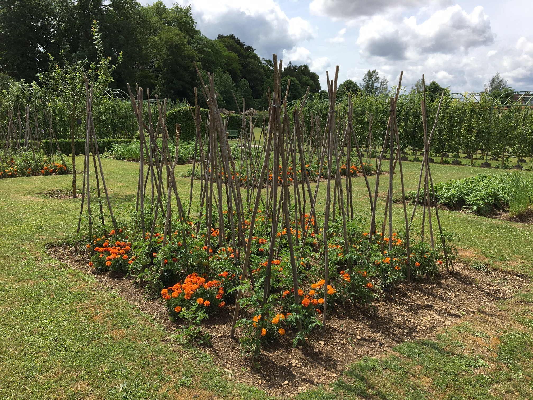© Château de Montigny-sur-Aube
