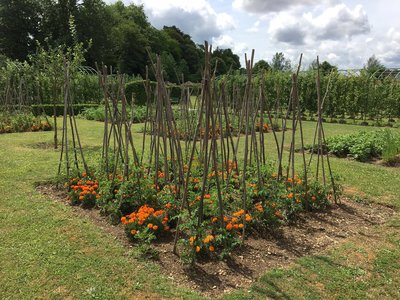 © Château de Montigny-sur-Aube