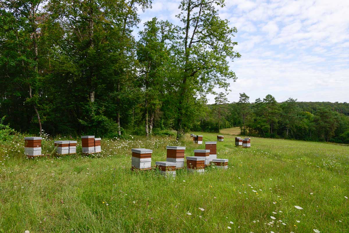 © Céline Lecomte - OFB