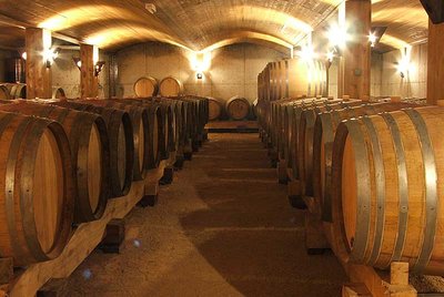 Muid Montsaugeonnais - la cave