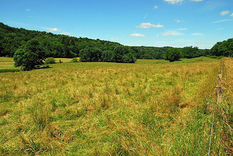 Rivière et vallée de la Mouche - Noidant-le-Rocheux