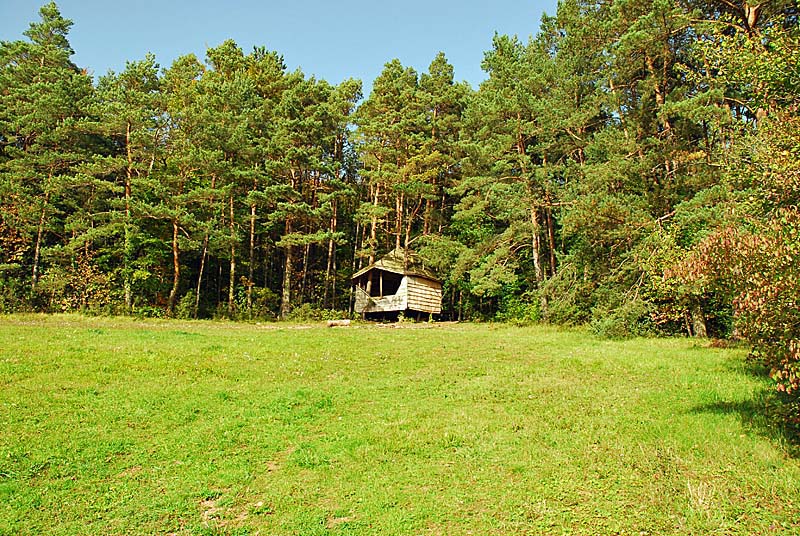 Cabane de la Sauvageonne à Rouelles