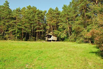 Cabane de la Sauvageonne à Rouelles