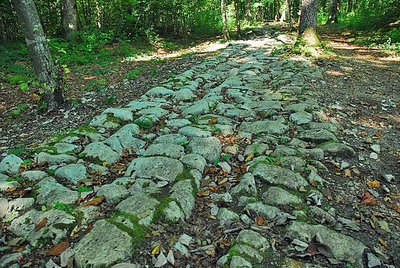 Site du Mausoée de Faverolles - la voie romaine