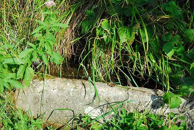 Auge d'eau-vive à Lamargelle-aux-Bois