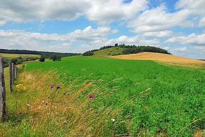 Vue sur la butte de Taloison