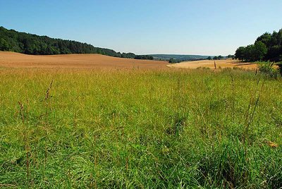 Marais de la Combe des Riots