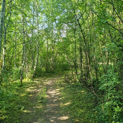 Petit bois proche du village de Vaux