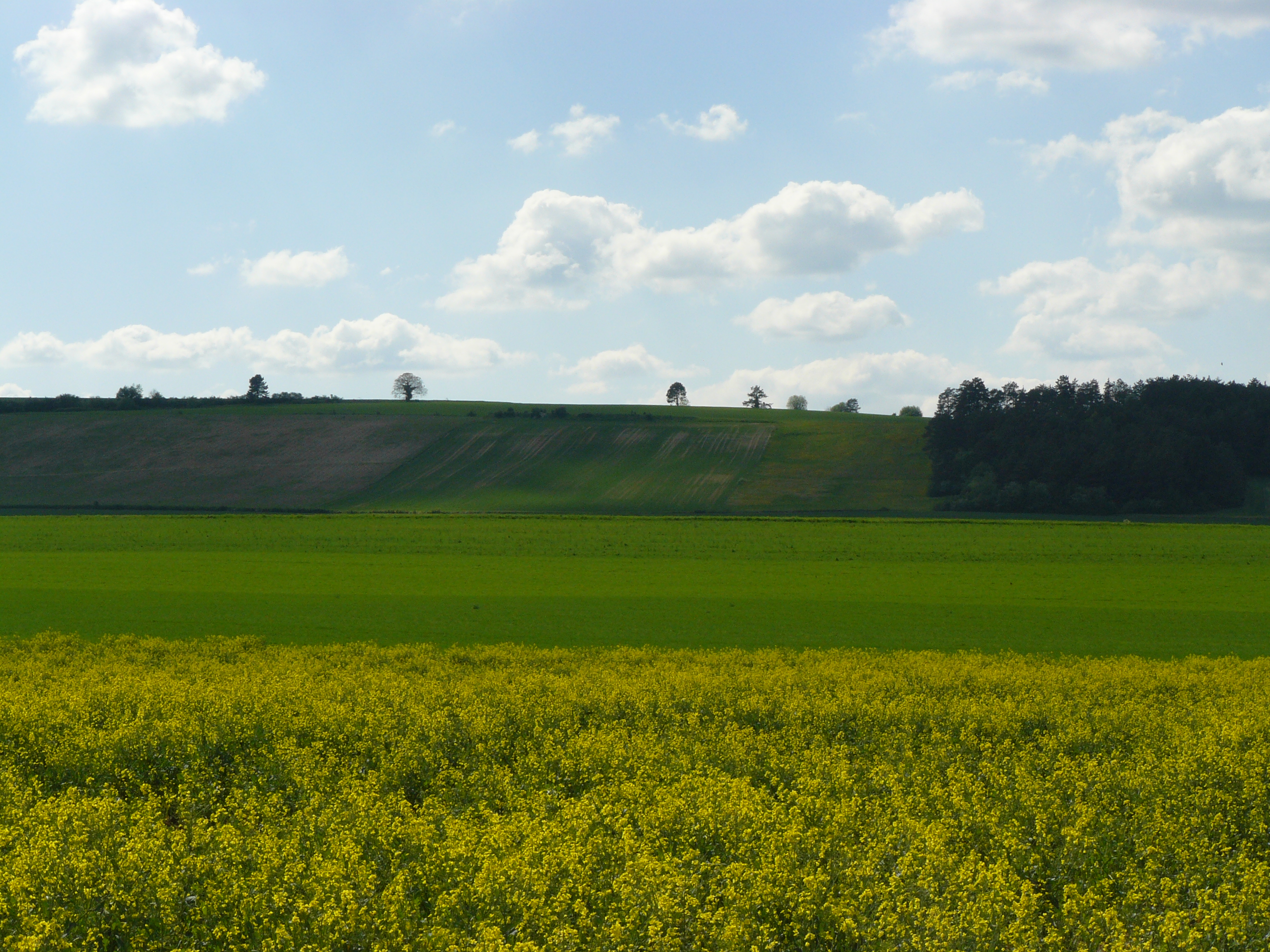 Cuesta châtillonnaise