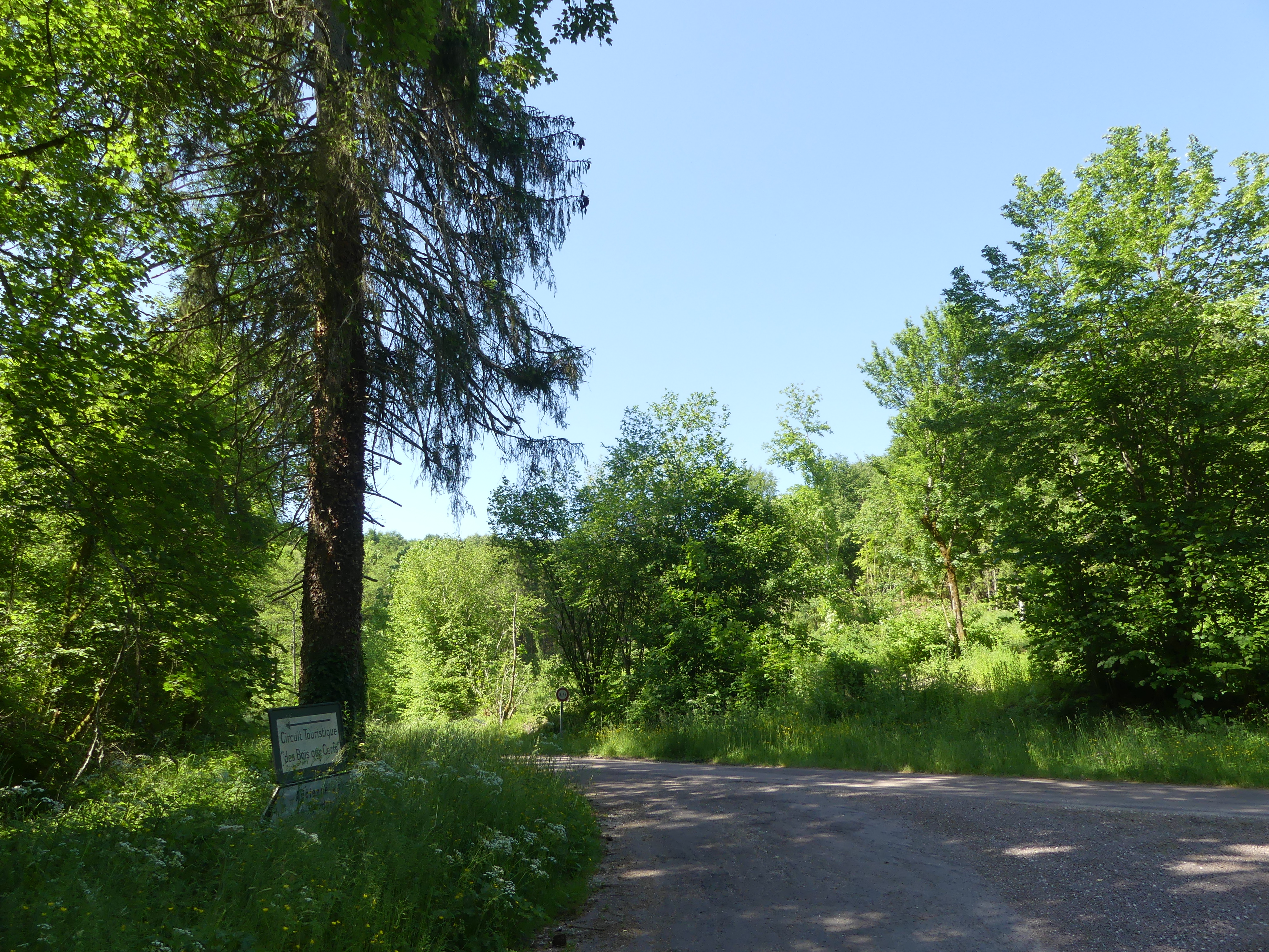 Carrefour de la Borne Mathey