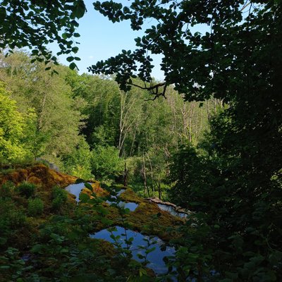 Tufière de Rolampont