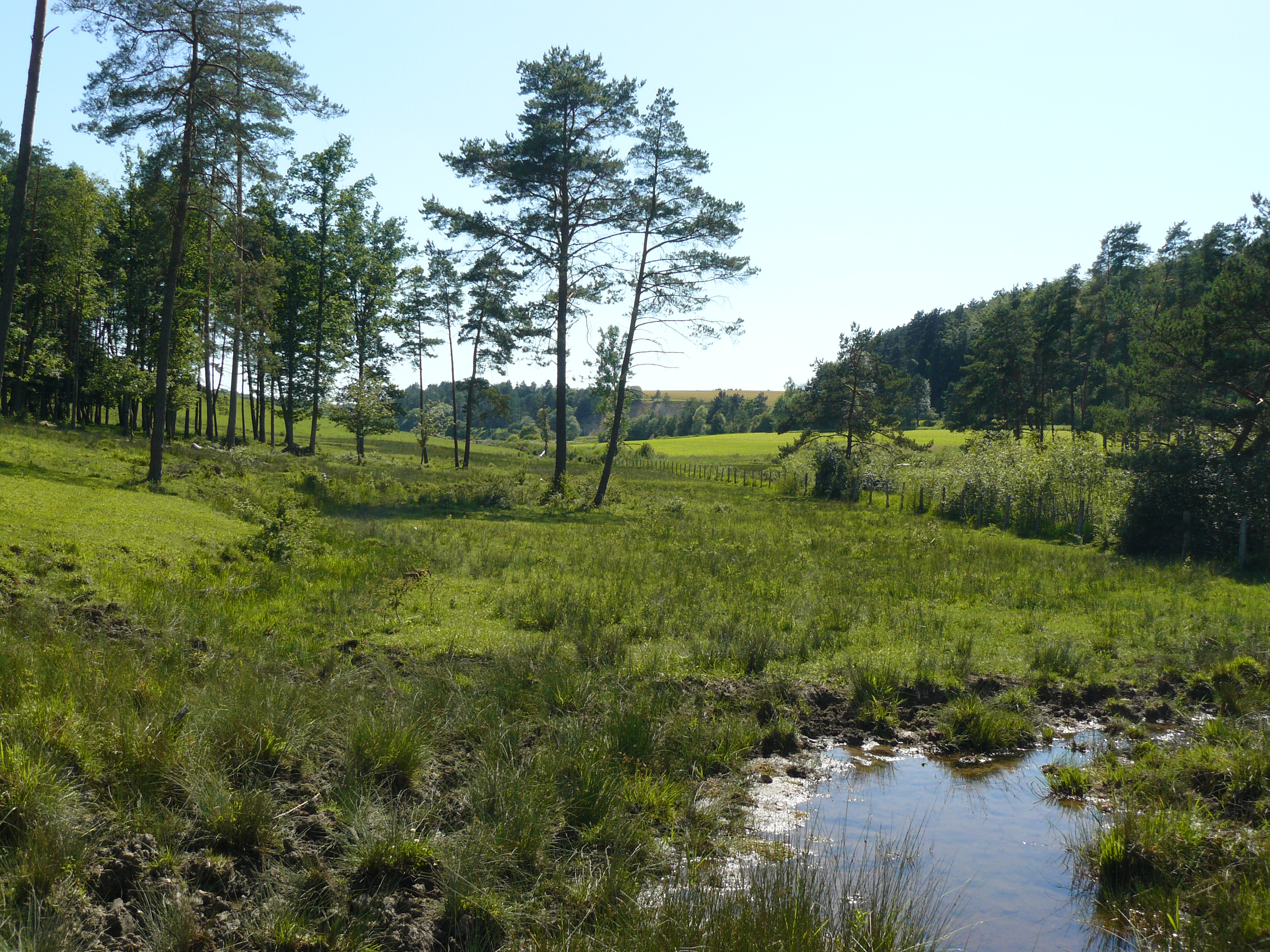 Marais de Chalmessin