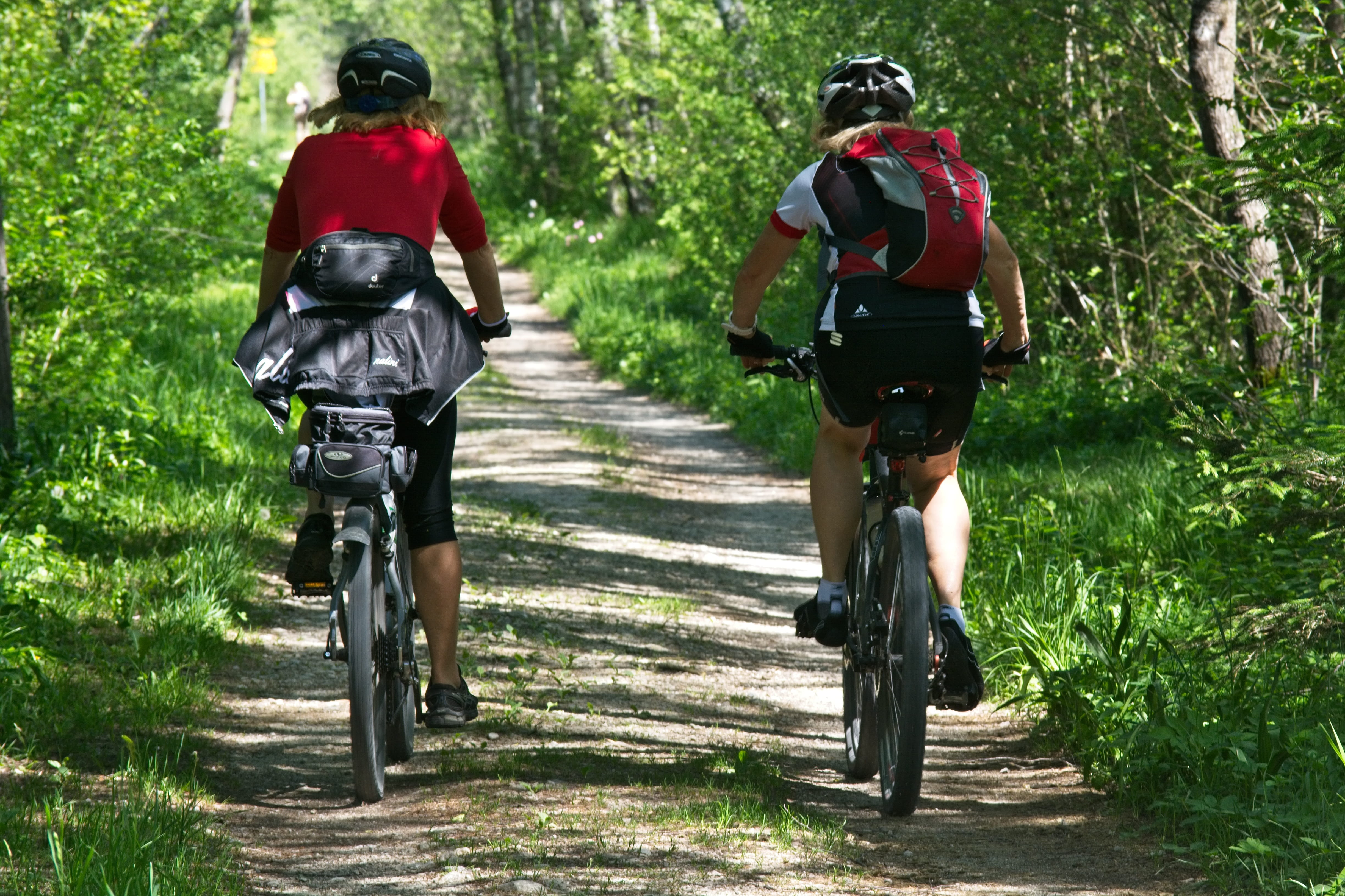 Cyclistes en forêt