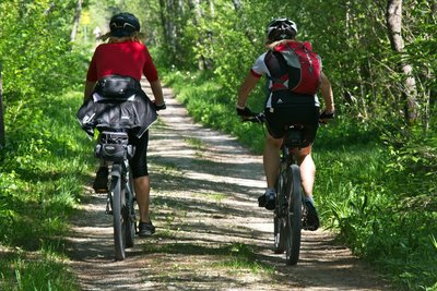 Cyclistes en forêt