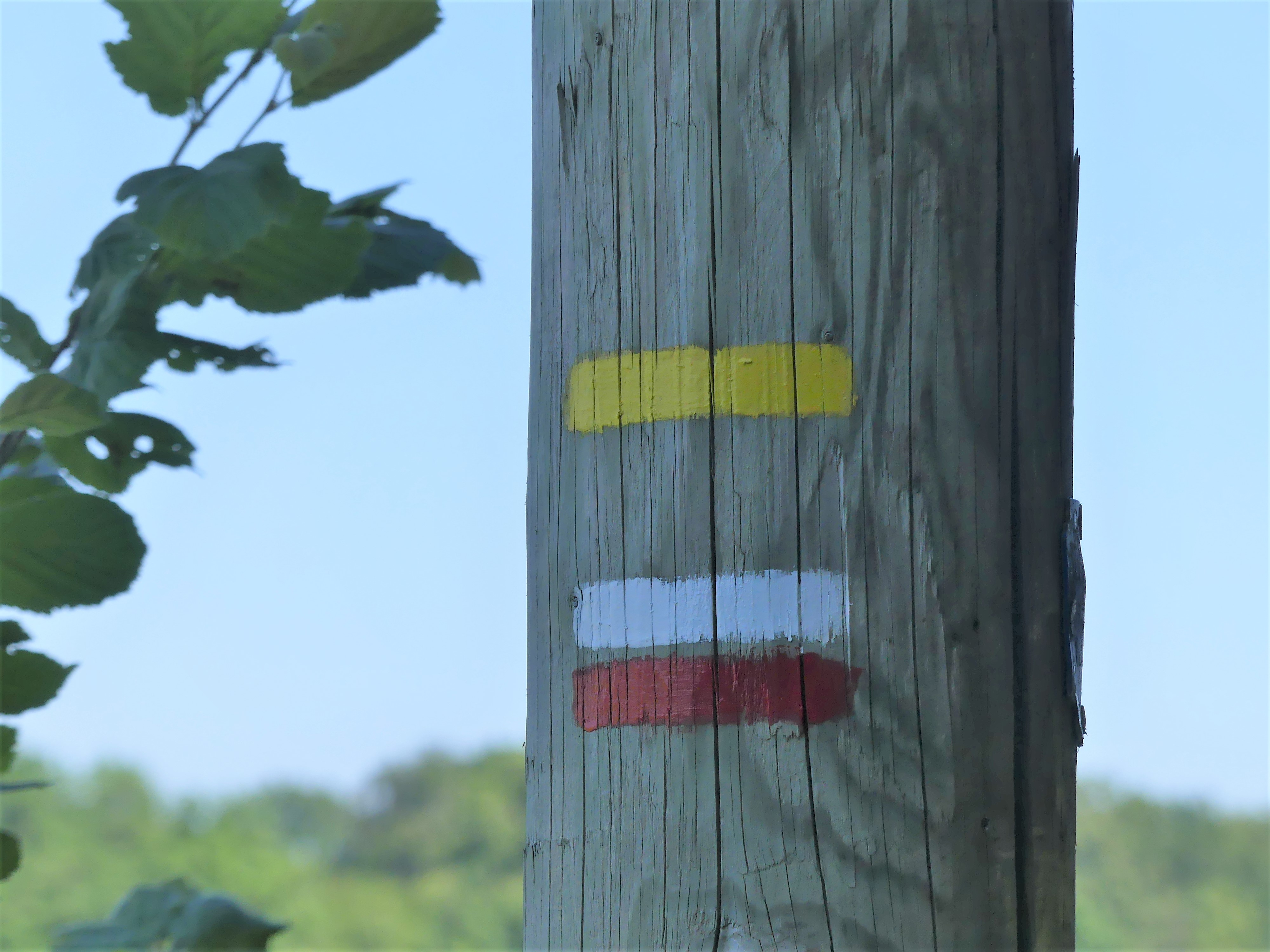 Balisage GR et PR sur le sentier des Châteaux