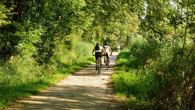 Cyclistes en forêt