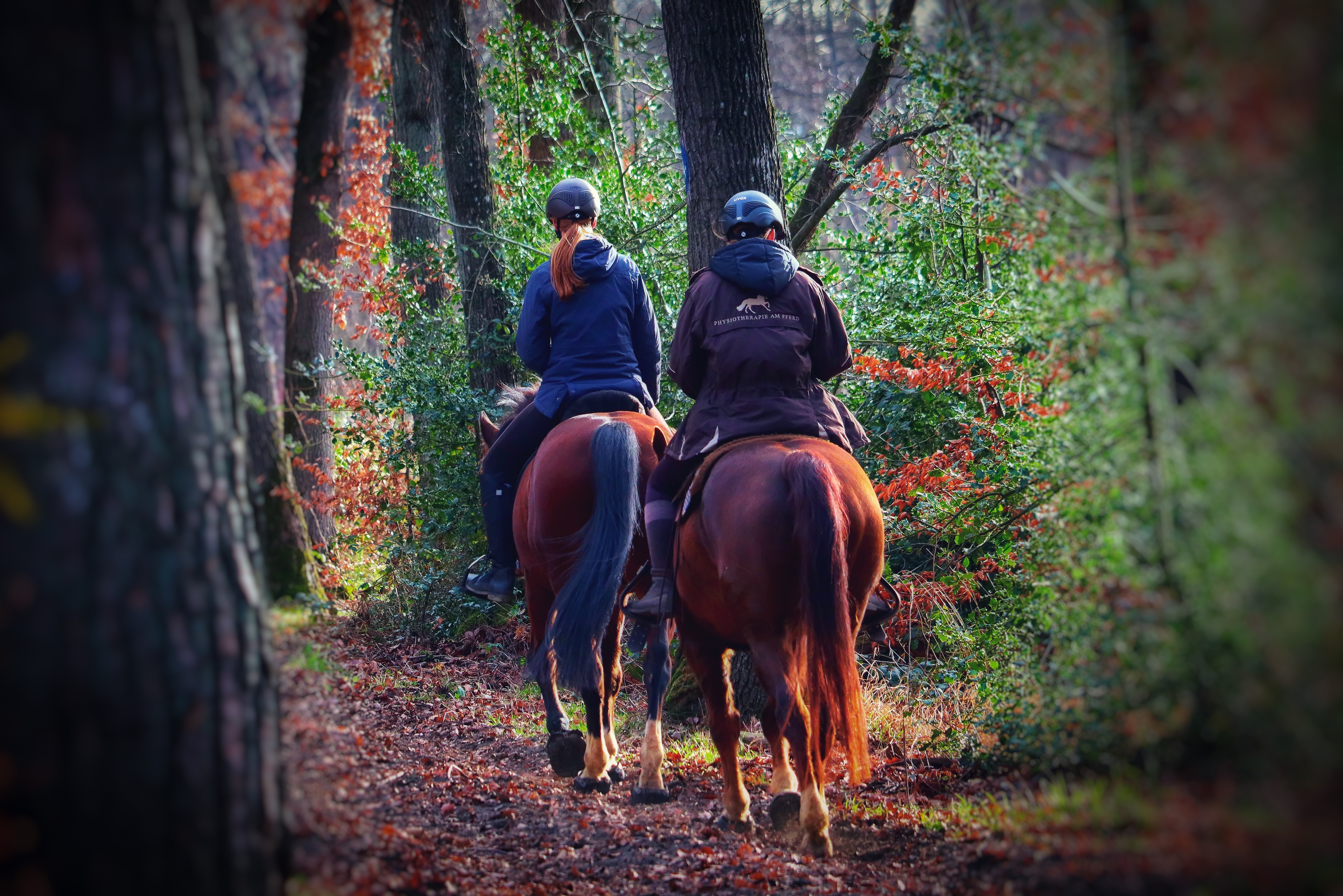 Cavaliers en forêt
