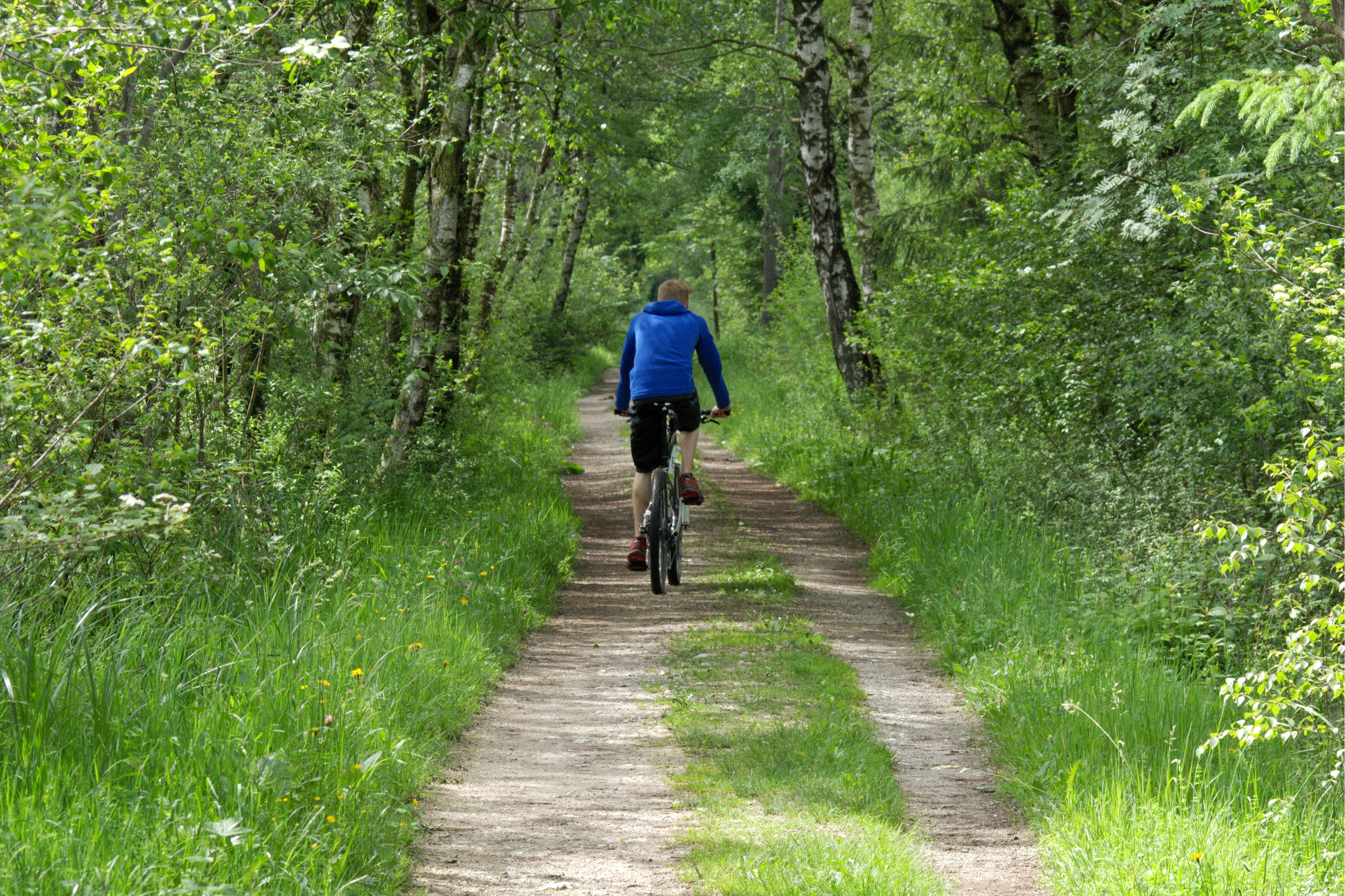 Cycliste en forêt