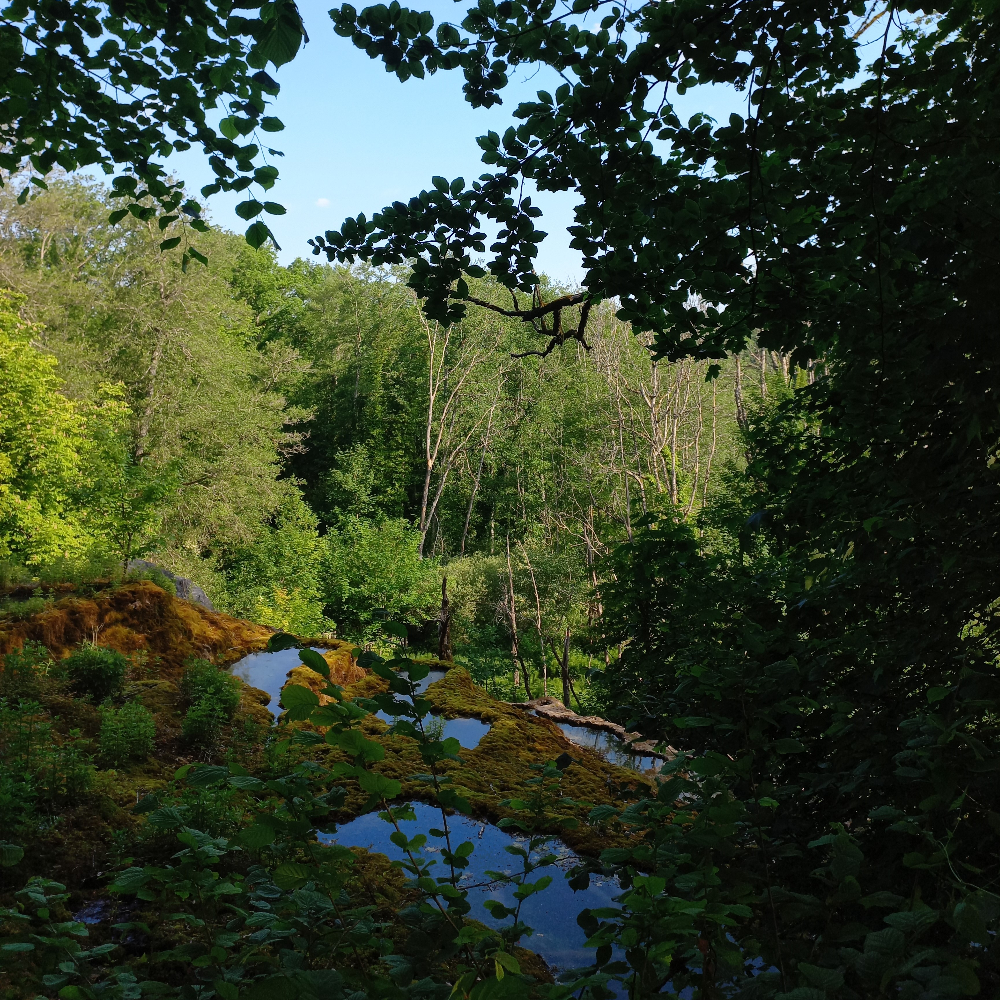 Tufière de Rolampont